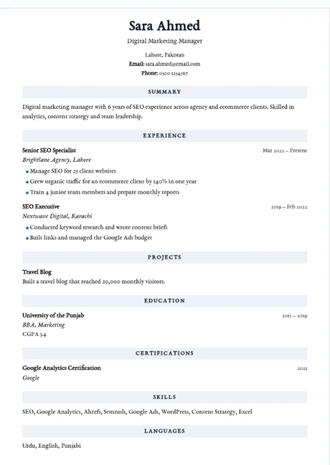 Classic resume template example resume layout